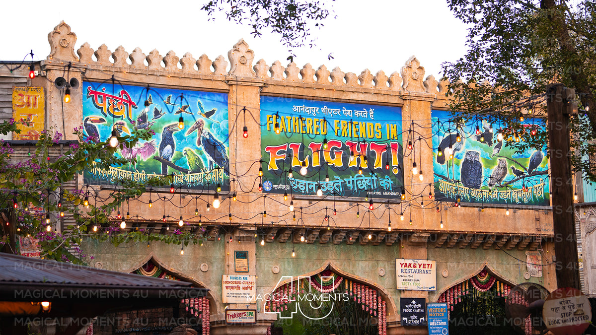 Iconic Animal Kingdom Architecture – Disney World Photography for Travel Agencies & Content Creators